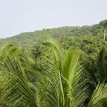 White Sands Arambol